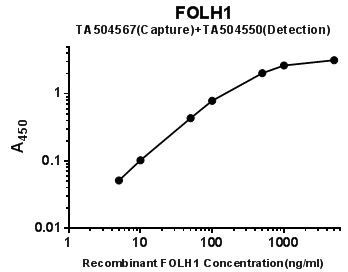 FOLH1 Antibody in ELISA (ELISA)