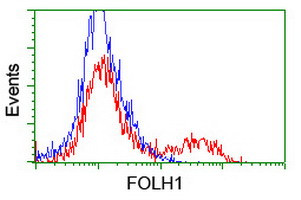 FOLH1 Antibody in Flow Cytometry (Flow)