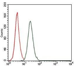 c-Fos Antibody in Flow Cytometry (Flow)