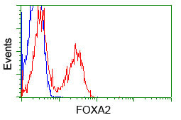 FOXA2 Antibody in Flow Cytometry (Flow)