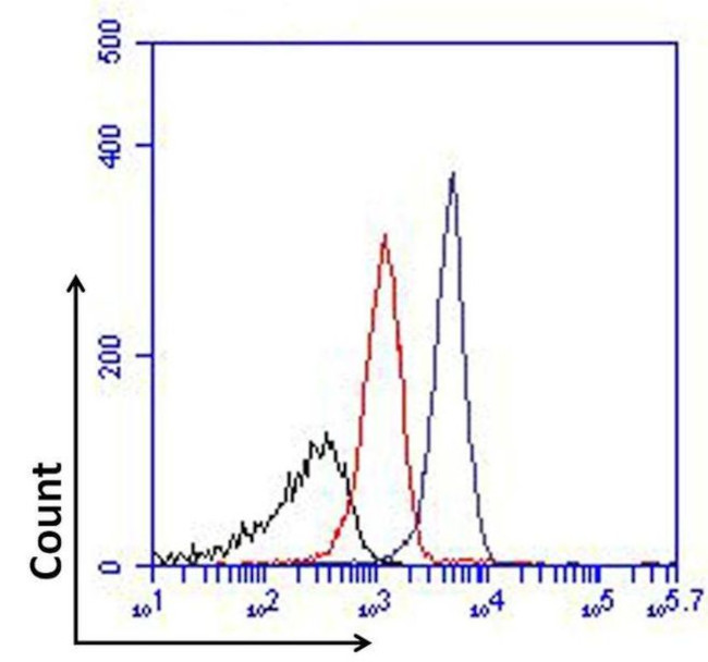 FOXP1 Antibody in Flow Cytometry (Flow)