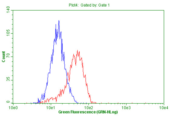 FOXP1 Antibody in Flow Cytometry (Flow)