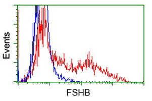 FSHB Antibody in Flow Cytometry (Flow)