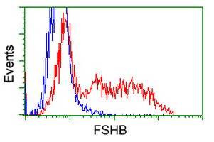 FSHB Antibody in Flow Cytometry (Flow)