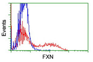 FXN Antibody in Flow Cytometry (Flow)