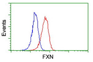 FXN Antibody in Flow Cytometry (Flow)