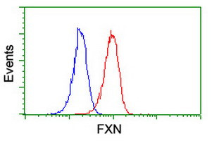 FXN Antibody in Flow Cytometry (Flow)