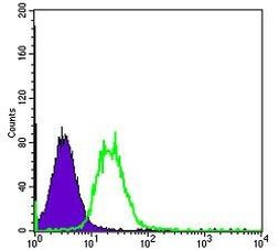 Fyn Antibody in Flow Cytometry (Flow)