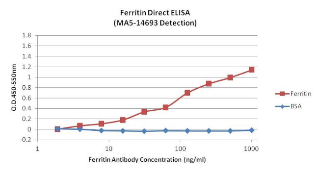 Ferritin Antibody in ELISA (ELISA)