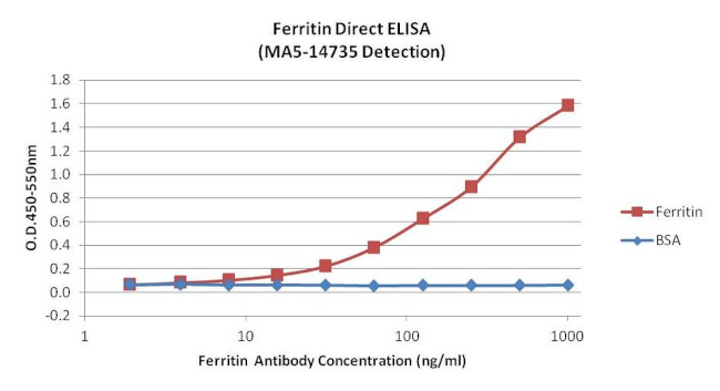 Ferritin Antibody in ELISA (ELISA)