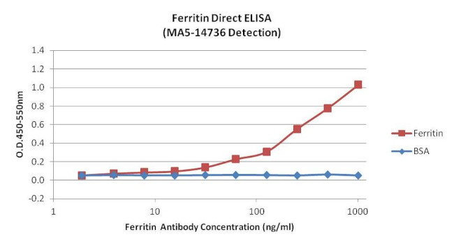 Ferritin Antibody in ELISA (ELISA)