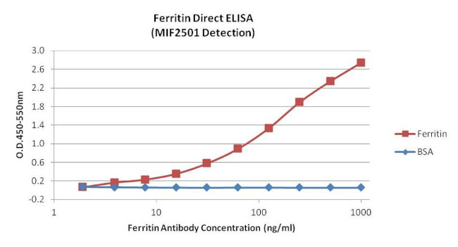 Ferritin Antibody in ELISA (ELISA)