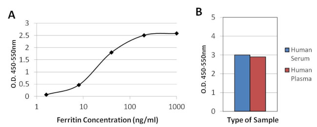 Ferritin Antibody in ELISA (ELISA)