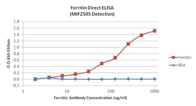 Ferritin Antibody in ELISA (ELISA)