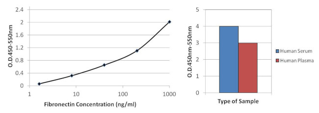 Fibronectin Antibody in ELISA (ELISA)