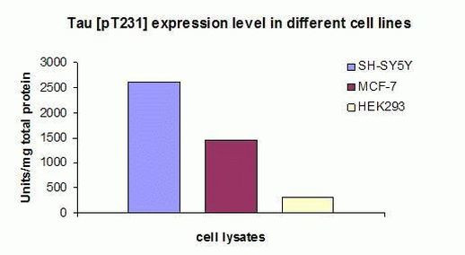 Human Tau (Phospho) [pT231] ELISA Kit