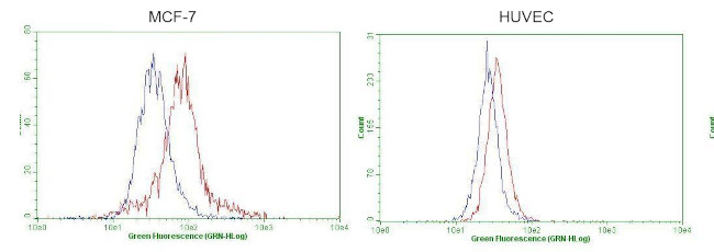 GATA3 Antibody in Flow Cytometry (Flow)