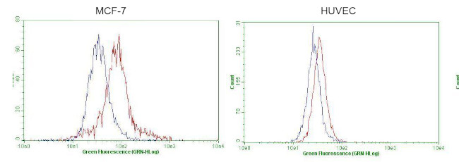 GATA3 Antibody in Flow Cytometry (Flow)