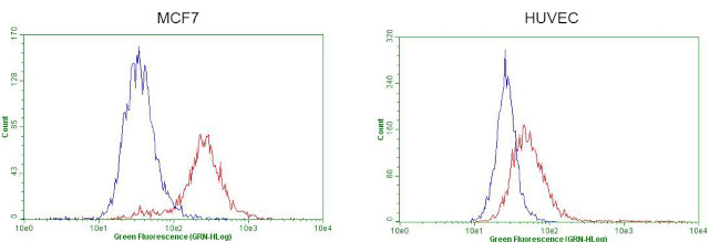 GATA3 Antibody in Flow Cytometry (Flow)