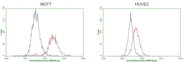 GATA3 Antibody in Flow Cytometry (Flow)