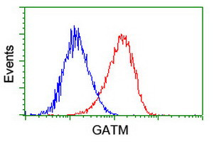 GATM Antibody in Flow Cytometry (Flow)