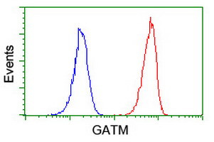 GATM Antibody in Flow Cytometry (Flow)