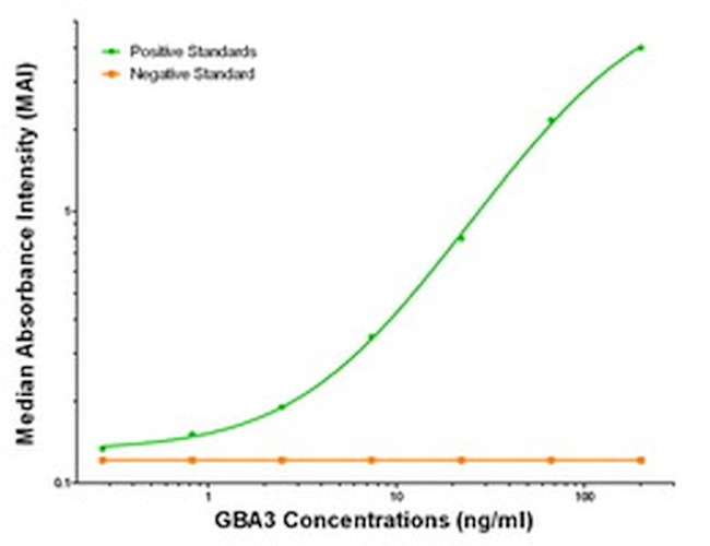 GBA3 Antibody in ELISA (ELISA)