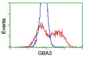 GBA3 Antibody in Flow Cytometry (Flow)