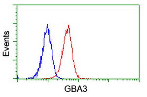 GBA3 Antibody in Flow Cytometry (Flow)