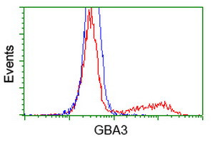 GBA3 Antibody in Flow Cytometry (Flow)