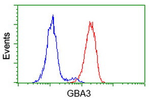 GBA3 Antibody in Flow Cytometry (Flow)