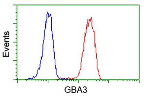 GBA3 Antibody in Flow Cytometry (Flow)