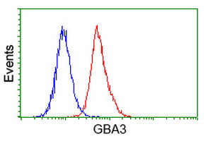 GBA3 Antibody in Flow Cytometry (Flow)