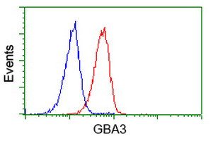 GBA3 Antibody in Flow Cytometry (Flow)