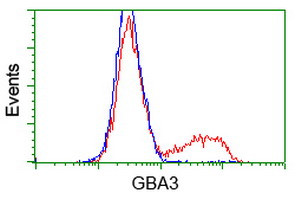 GBA3 Antibody in Flow Cytometry (Flow)