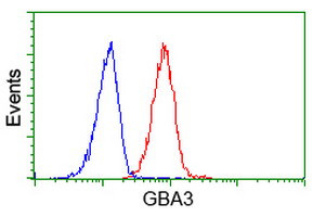 GBA3 Antibody in Flow Cytometry (Flow)