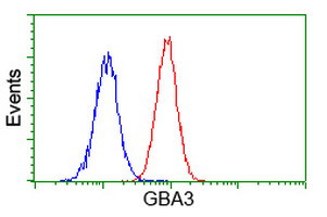 GBA3 Antibody in Flow Cytometry (Flow)