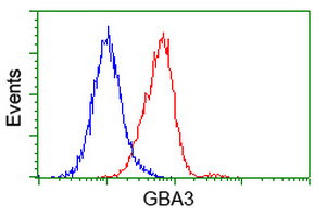 GBA3 Antibody in Flow Cytometry (Flow)