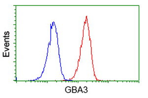 GBA3 Antibody in Flow Cytometry (Flow)