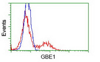 GBE1 Antibody in Flow Cytometry (Flow)