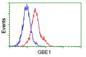 GBE1 Antibody in Flow Cytometry (Flow)