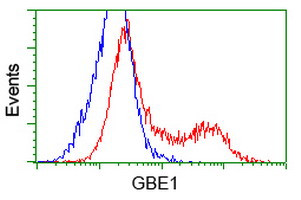 GBE1 Antibody in Flow Cytometry (Flow)