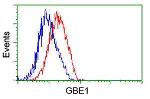 GBE1 Antibody in Flow Cytometry (Flow)