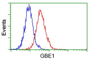GBE1 Antibody in Flow Cytometry (Flow)