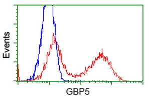 GBP5 Antibody in Flow Cytometry (Flow)