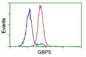 GBP5 Antibody in Flow Cytometry (Flow)