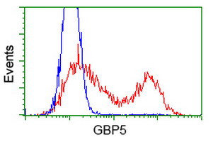 GBP5 Antibody in Flow Cytometry (Flow)