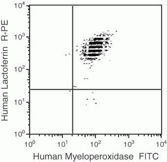 Myeloperoxidase Antibody in Flow Cytometry (Flow)