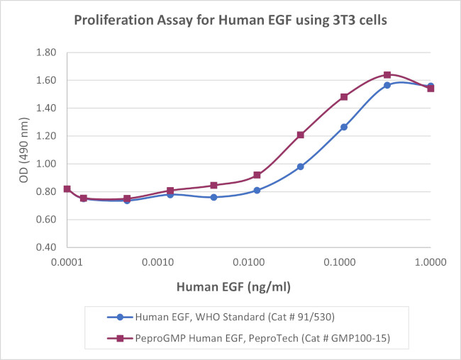 PeproGMP® Human EGF Protein in Functional Assay (FN)