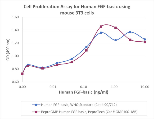 PeproGMP® Human FGF-basic (FGF-2/bFGF) Protein in Functional Assay (FN)